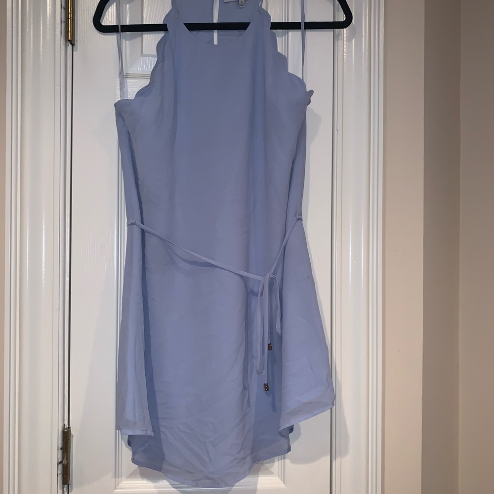 Naked Zebra blue mini dress